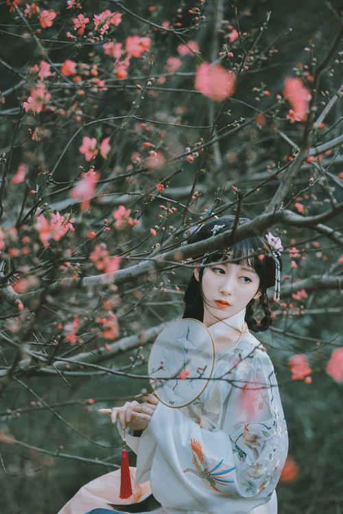 丈母娘是扶弟魔还让我老婆把10万装修款借给小舅结婚我想离婚(图12)