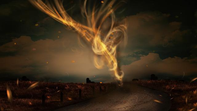 丈母娘是扶弟魔还让我老婆把10万装修款借给小舅结婚我想离婚(图2)