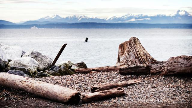 丈母娘是扶弟魔还让我老婆把10万装修款借给小舅结婚我想离婚(图5)