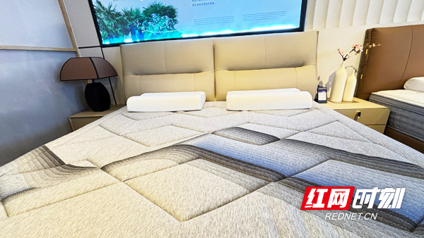 2024年家装市场洞察｜个性化设计与智能家居成新宠 家居卖场开云中国kaiyun面临挑战(图2)