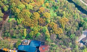 装修行业市场规模及前景机遇深度调kaiyun入口研2024(图4)