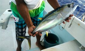 2024年装修建材行业前景分析kaiyun开云官网(图6)