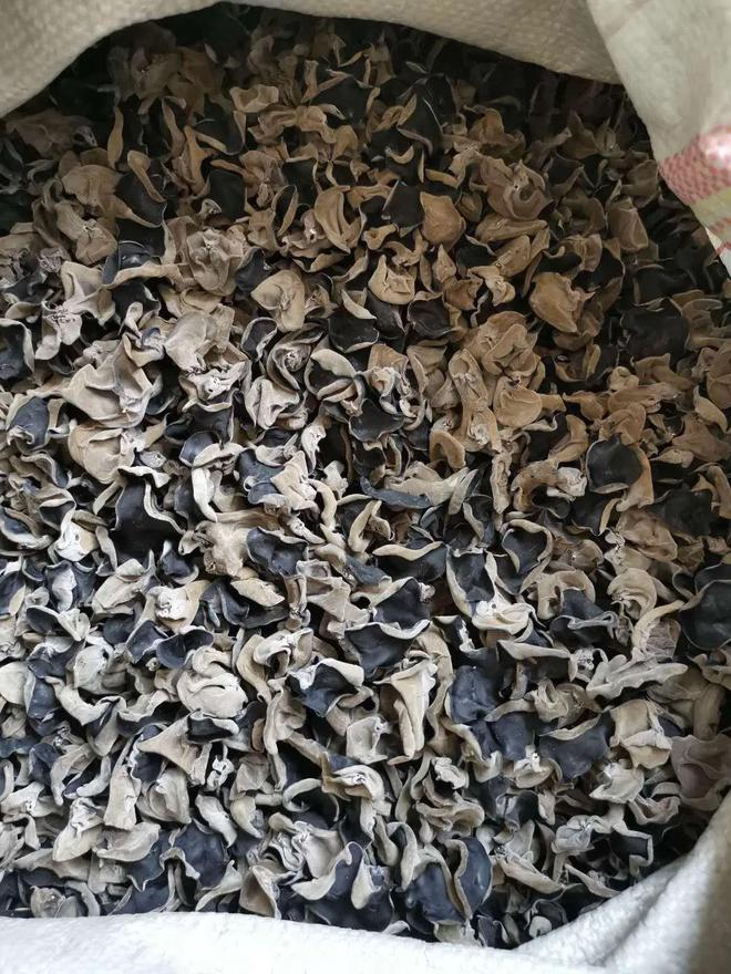 2024年6月5日读者社群信息kaiyun中国平台(图7)